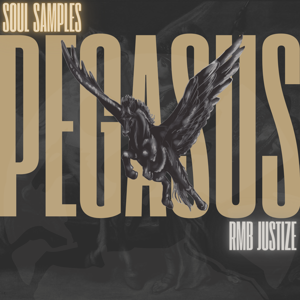 Pegasus - Timeless Soul Samples - RMB Justize Official Website