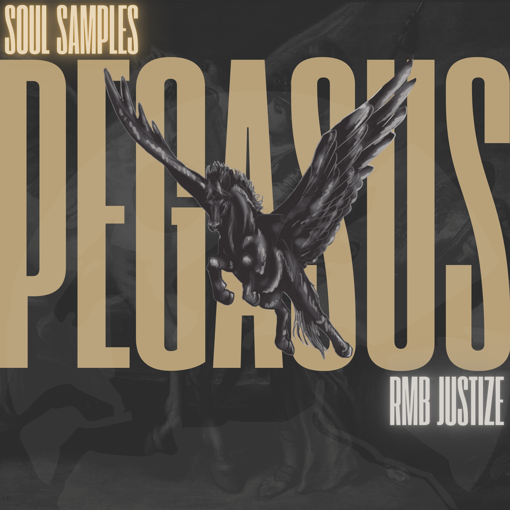 Pegasus - Timeless Soul Samples - RMB Justize Official Website